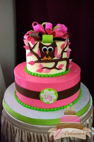 (221) Owl Baby Shower Cake