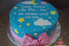 (242) Twinkle Twinkle Little Star Gender Reveal