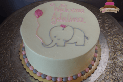 (245) Piped Elephant Baby Shower Cake