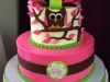 (221) Owl Baby Shower Cake