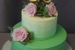 (192) Green Ombre Cake