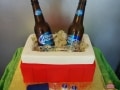 (160) Cooler Birthday Cake