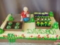 (172) Gardening Birthday Cake