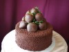 (142) Chocolate-Covered Strawberry Birthday Cake