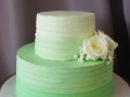 (319) Green Ombre Textured Bridal Shower Cake