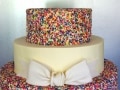 (312) Sprinkle Bridal Shower Cake