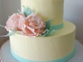 (313) Two-Tier Bridal Shower Cake