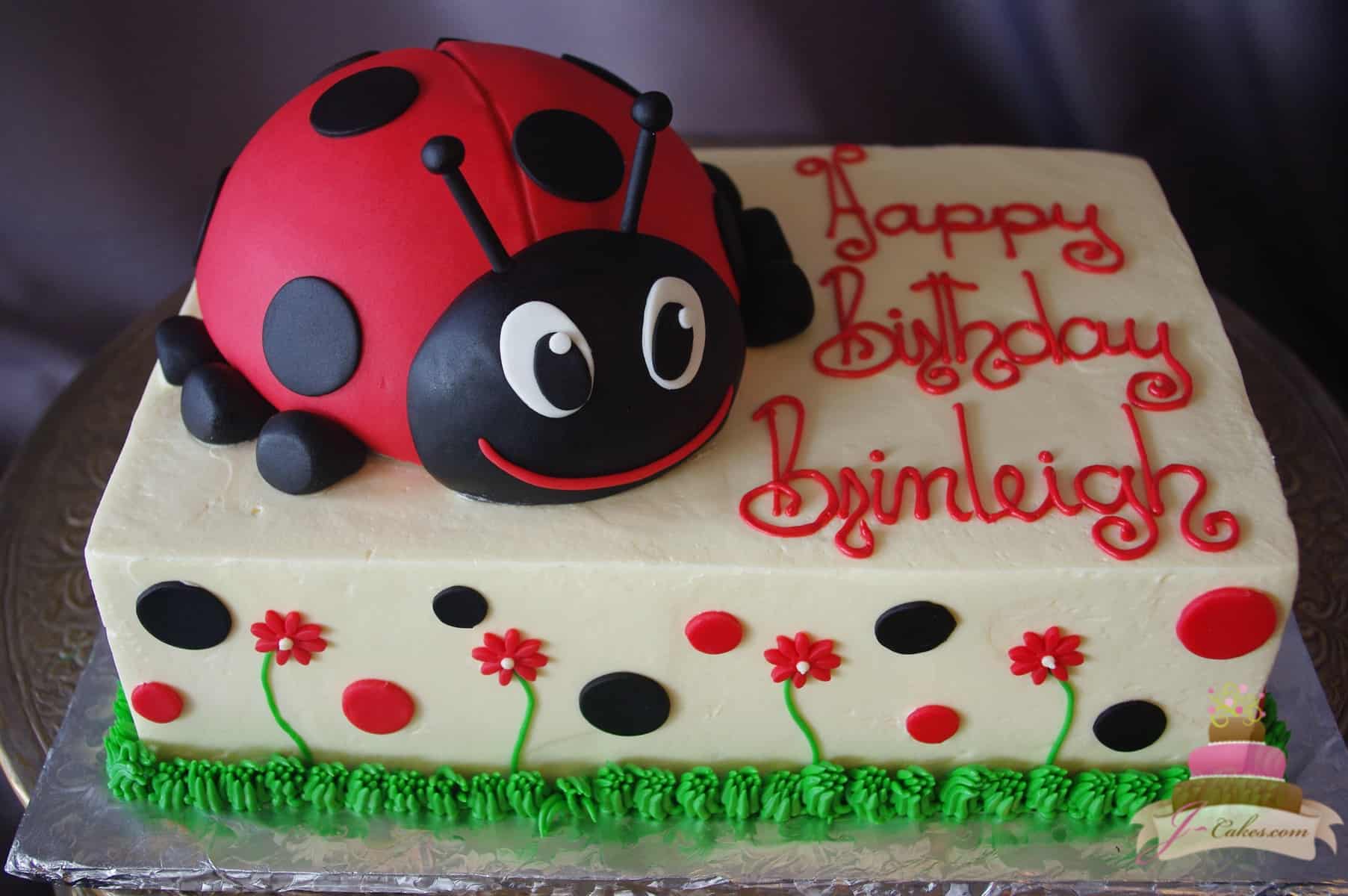 (516) Ladybug Theme Cake