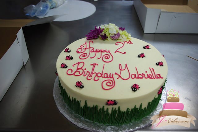 (429) Lady Bug Birthday Cake