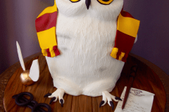 (532) 3D Owl Cake