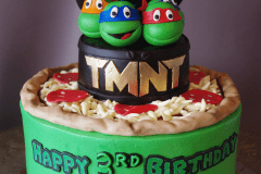 (548) TMNT Cake