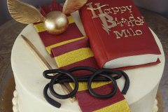 (549) Harry Potter Book Cake