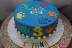 (551) Paw Patrol Paw Print Cake