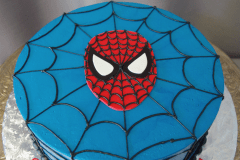 (569) Spider-Man Cake