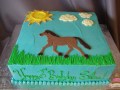 (494) Horse Theme Cake