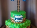 (508) Tiered Minecraft Theme Cake