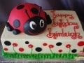 (516) Ladybug Theme Cake
