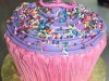 (449) Giant Cupcake