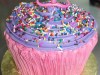 (449) Giant Cupcake