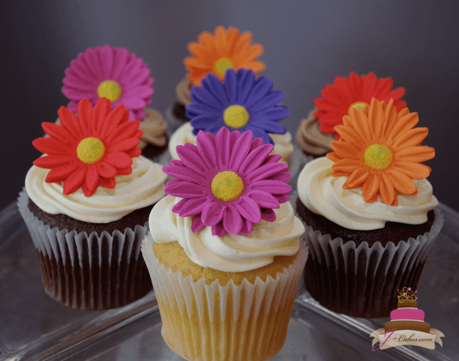 (651) Gerbera Daisy Cupcakes