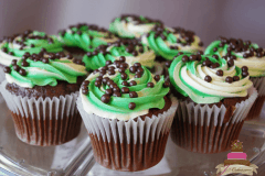 (650) Mint Chocolate Cupcakes