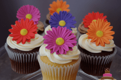 (651) Gerbera Daisy Cupcakes