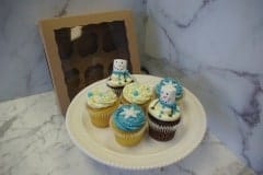 (671) Winter Wonderland Cupcakes