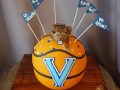 (727) Villanova Wildcats Basketball Groom's Cake