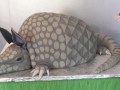 (723) Armadillo Groom's Cake