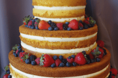 (1162) Naked Wedding Cake