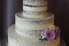(1179) Semi-Naked Wedding Cake