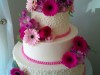 (1087) Pink Floral Wedding Cake with Cornelli Lace Piping