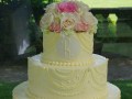 (1151) Custom Piped Wedding Cake