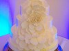 (1019) Flower Petal Wedding Cake
