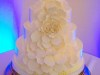 (1019) Flower Petal Wedding Cake